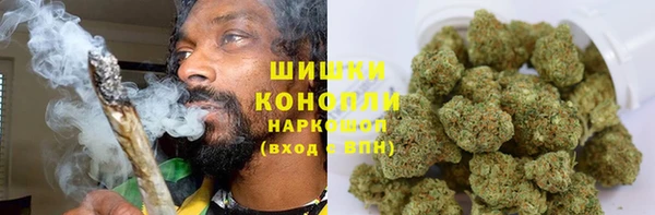 дживик Пестово