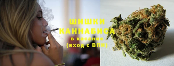 спайс Пересвет