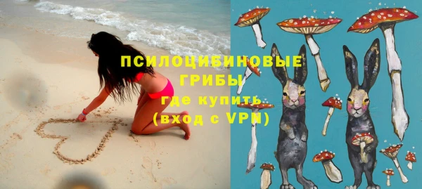 дживик Богданович